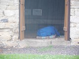 DSCN4574